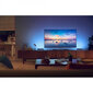 LED juosta Philips Hue Play, 25.3cm kaina ir informacija | LED juostos | pigu.lt