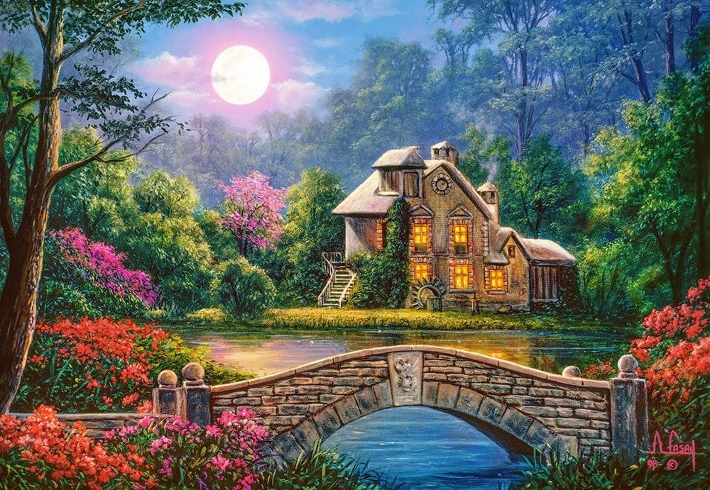 Dėlionė Castorland Puzzle Cottage in the Moon Garden, 1000 d. kaina ir informacija | Dėlionės (puzzle) | pigu.lt