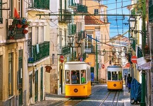 Пазл Castorland Puzzle Lisbon Trams, Portugal, 1000 д. цена и информация | Пазлы | pigu.lt