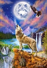 Головоломка "Wolf's Night" Castorland, 1500 д. цена и информация | Пазлы | pigu.lt