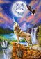 Dėlionė Castorland Puzzle Wolf's Night, 1500 d. kaina ir informacija | Dėlionės (puzzle) | pigu.lt