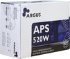 Inter-Tech Argus APS-520W (88882117) цена и информация | Maitinimo šaltiniai (PSU) | pigu.lt