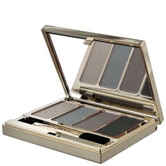 Akių šešėlių paletė Clarins 4-Colour, 05 Smoky, 6.9 g цена и информация | Тушь, средства для роста ресниц, тени для век, карандаши для глаз | pigu.lt