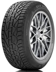 Orium Winter 195/60R15 88 T цена и информация | Зимние шины | pigu.lt