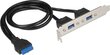 Delock Bracket z 2 portami USB 3.0 (84836) цена и информация | Korpusų priedai | pigu.lt