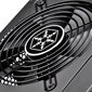 SilverStone Strider Platinum 850W цена и информация | Maitinimo šaltiniai (PSU) | pigu.lt