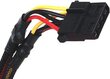 SilverStone SST-ST30SF V2.0 kaina ir informacija | Maitinimo šaltiniai (PSU) | pigu.lt