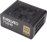 Evolveo G750 750W цена и информация | Maitinimo šaltiniai (PSU) | pigu.lt