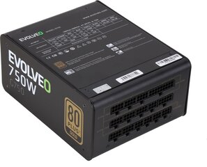 Evolveo G750 750W (E-G750R) kaina ir informacija | Maitinimo šaltiniai (PSU) | pigu.lt