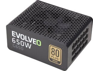 Evolveo G650 650Вт (E-G650R) цена и информация | Блоки питания (PSU) | pigu.lt