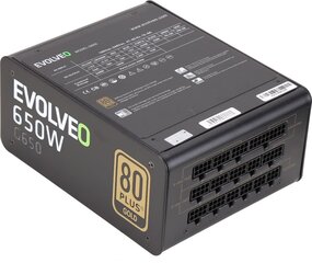 Evolveo G650 650Вт (E-G650R) цена и информация | Блоки питания (PSU) | pigu.lt