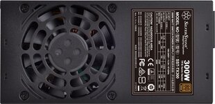 SilverStone TX300 300W (SST-TX300) kaina ir informacija | Maitinimo šaltiniai (PSU) | pigu.lt