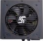 SeaSonic Focus Plus Platinum 850W (SSR-850PX) цена и информация | Maitinimo šaltiniai (PSU) | pigu.lt