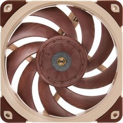 Noctua NF-A12x25 ULN цена и информация | Компьютерные вентиляторы | pigu.lt