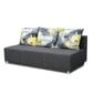 Sofa Jasper, pilka kaina ir informacija | Sofos | pigu.lt