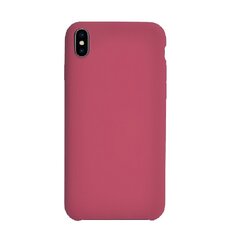 Apple iPhone XS MAX Hard Cover By Big Ben Pink цена и информация | Чехлы для телефонов | pigu.lt