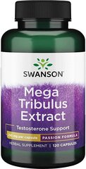 Maisto papildas Swanson Tribulus Extract (gulsčiosios ragužės) kapsulės vyrams, N120 kaina ir informacija | Vitaminai, maisto papildai, preparatai gerai savijautai | pigu.lt