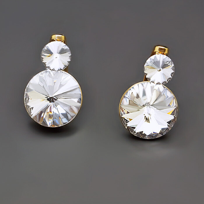 Auskarai moterims su Swarovski kristalais DiamondSky clarice IV kaina ir informacija | Auskarai | pigu.lt