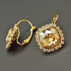 Серьги "Ослепительный Блеск III (Golden Shadow)" с кристаллами Swarovski™ цена и информация | Серьги | pigu.lt