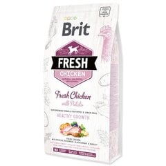 Brit Fresh mažiems šuniukams su vištiena ir bulvėmis, 12 kg kaina ir informacija | Sausas maistas šunims | pigu.lt