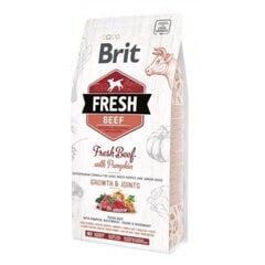 Brit Fresh didelių veislių šuniukams su jautiena ir moliūgu, 2,5 kg kaina ir informacija | Sausas maistas šunims | pigu.lt