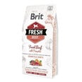 Brit Fresh didelių veislių šuniukams su jautiena ir moliūgu, 2,5 kg