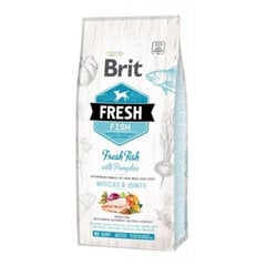 Brit Fresh didelių veislių šunims su žuvimi ir moliūgu, 2,5 kg kaina ir informacija | Sausas maistas šunims | pigu.lt