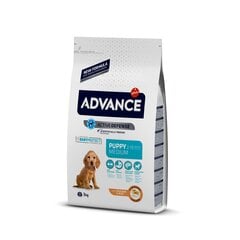 ADVANCE DOG PUPPY MEDIUM 3,0KG - ДЛЯ ЩЕНКОВ СРЕДНИХ ПОРОД (КУРИЦА С РИСОМ) цена и информация |  Сухой корм для собак | pigu.lt