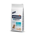 Advance Puppy Medium augantiems šuniukams su vištiena ir ryžiais, 12 kg