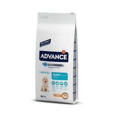 ADVANCE DOG MAXI PUPPY 12,0KG - ДЛЯ ЩЕНКОВ КРУПНЫХ ПОРОД (КУРИЦА И РИС) цена и информация |  Сухой корм для собак | pigu.lt