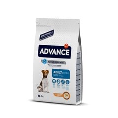 ADVANCE DOG MINI ADULT 3,0KG - ДЛЯ CОБАК МЕЛКИХ ПОРОД (КУРИЦА И РИС) цена и информация |  Сухой корм для собак | pigu.lt