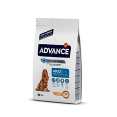 ADVANCE DOG MEDIUM ADULT 3,0KG - ДЛЯ СОБАК СРЕДНИХ ПОРОД (КУРИЦА С РИСОМ) цена и информация |  Сухой корм для собак | pigu.lt