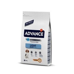 Advance Medium Light turintiems viršsvorio, 3 kg цена и информация | Сухой корм для собак | pigu.lt