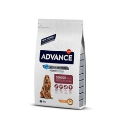 Advance Medium Senior su vištiena ir ryžiais, 3 kg цена и информация | Сухой корм для собак | pigu.lt