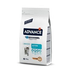 Advance Kitten для котят с курицей и рисом, 1,5 кг цена и информация | Сухой корм для кошек | pigu.lt