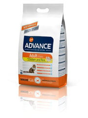 ADVANCE CAT ADULT CHICKEN 3.0KG - ДЛЯ ВЗРОСЛЫХ КОШЕК (КУРИЦA И РИС) цена и информация | Сухой корм для кошек | pigu.lt