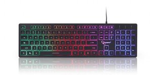Клавиатура Gembird Rainbow backlight multimedia k цена и информация | Клавиатуры | pigu.lt