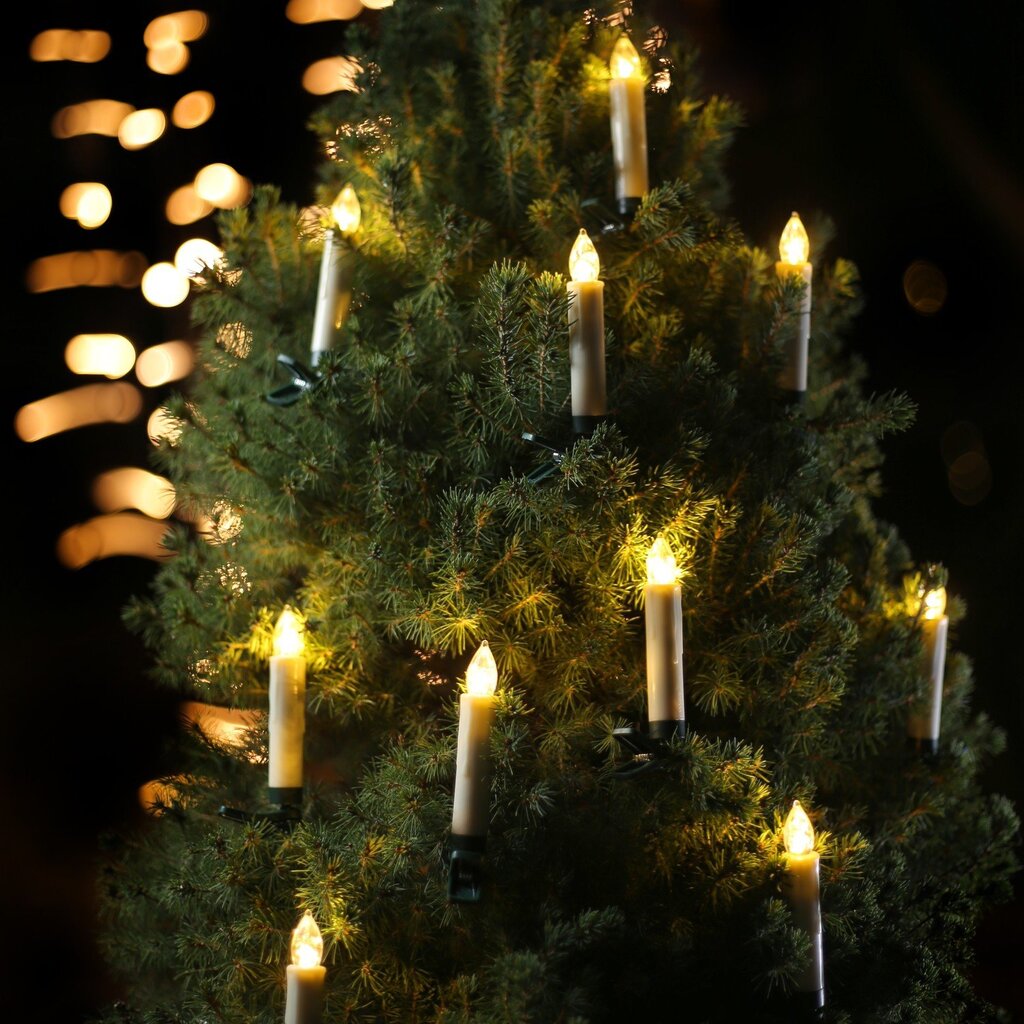 Kalėdinė dekoracija Belaidės LED žvakės kaina ir informacija | Kalėdinės dekoracijos | pigu.lt
