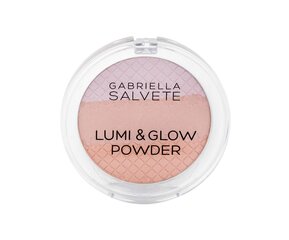 Gabriella Salvete Lumi & Glow Bronzer - Brightening Powder 9 g  02 #d6b1a9 цена и информация | Бронзеры (бронзаторы), румяна | pigu.lt