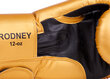 Bokso pirštinės Benlee Rodney, aukso spalvos kaina ir informacija | Kovos menai | pigu.lt