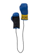 Mini bokso pirštinės Benlee, mėlynos цена и информация | Боевые искусства | pigu.lt