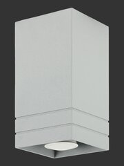 Lampex светильник Neron A цена и информация | Потолочные светильники | pigu.lt