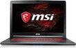 MSI MSI GV72 8RC-044XPL цена и информация | Nešiojami kompiuteriai | pigu.lt