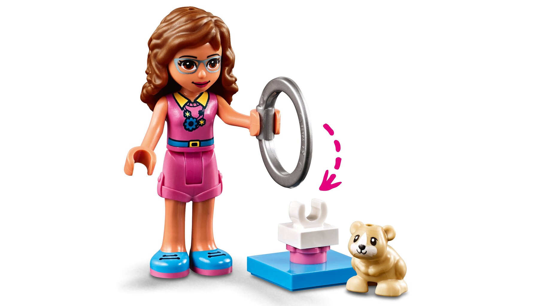 41383 LEGO® FRIENDS Игровая площадка хомяка Оливии цена | pigu.lt