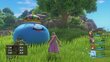 Sony PS4 DRAGON QUEST XI ECHOES OF AN ELUSIVE AGE kaina ir informacija | Kompiuteriniai žaidimai | pigu.lt