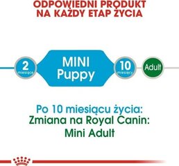 Šlapias maistas Royal Canin Mini Puppy, 85 g kaina ir informacija | Konservai šunims | pigu.lt