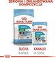 Šlapias maistas Royal Canin Mini Puppy, 85 g kaina ir informacija | Konservai šunims | pigu.lt