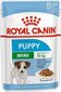 Šlapias maistas Royal Canin Mini Puppy, 85 g kaina ir informacija | Konservai šunims | pigu.lt