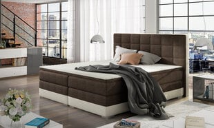 Кровать Damaso, 160х200 см, коричневая/кремовая цена и информация | Кровати | pigu.lt