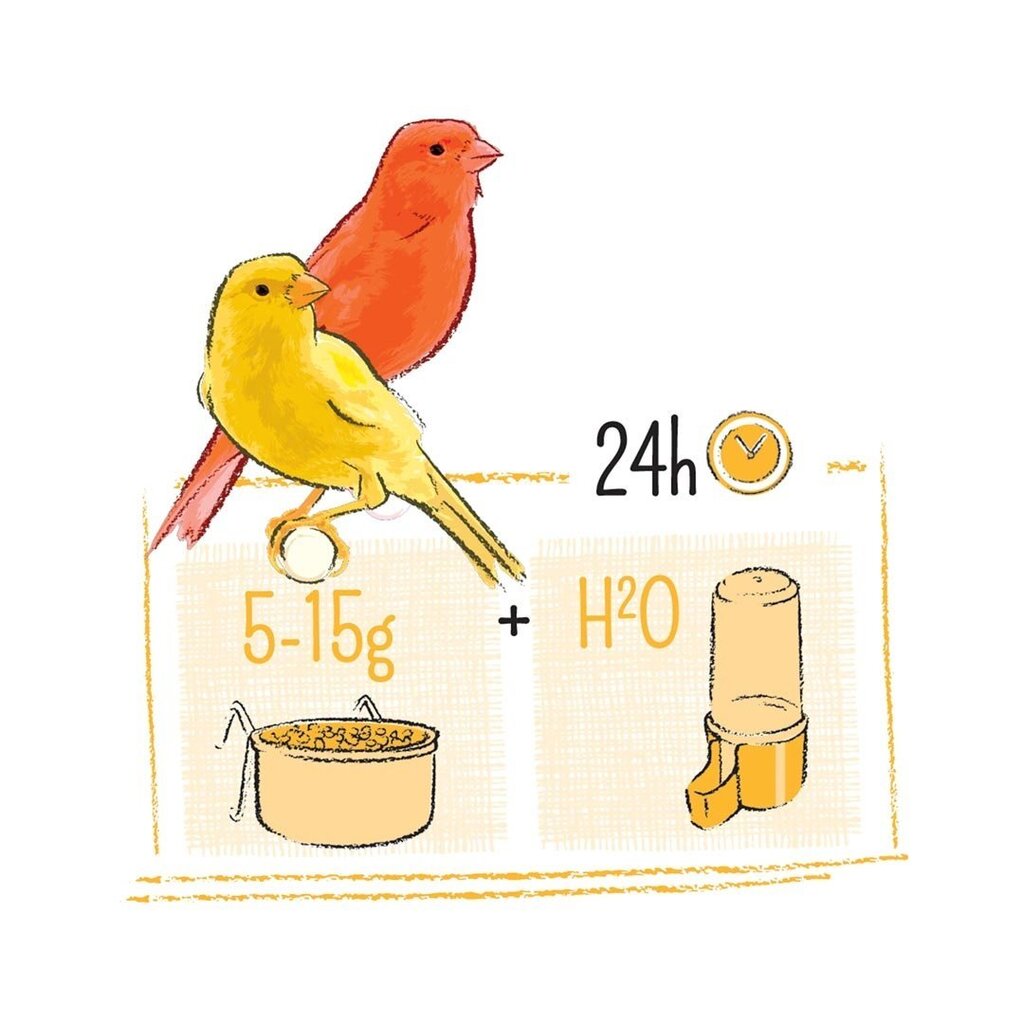 PUUR lesalas kanarėlėms 750g kaina ir informacija | Lesalas paukščiams | pigu.lt